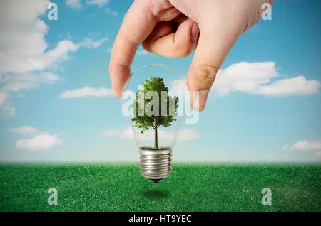 Efficienza energetica del concetto. Composizione astratta con albero in lampadina sulla natura sfondo Foto Stock