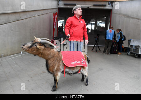 Il calcio tedesco club 1. FC Colonia la mascotte, il billy-goat Hennes VIII, con il suo gestore Ingo Reipka nel team di stadium di Colonia, Germania, 04 marzo 2017. L'animale potrà girare a dieci sul 10.03.17. Foto: Federico Gambarini/dpa Foto Stock