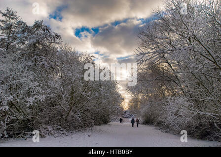 In Snowscene Sankey Parco Valle di alberi di neve Foto Stock