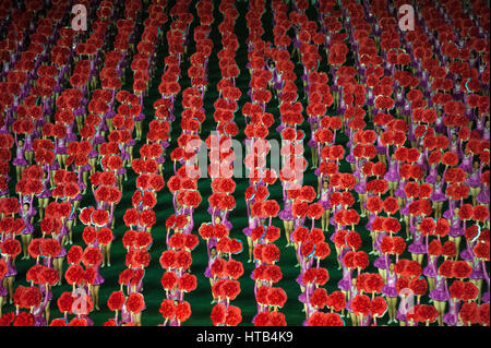 08.08.2012, Pyongyang, Corea del Nord - ballerini e acrobati eseguire durante l'Arirang Festival presso il Rungrado May Day Stadium di Pyongyang. Foto Stock