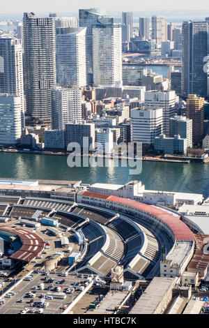 Vista aerea del mercato del pesce Tsukiji di Shiodome, Minato, Tokyo. Foto Stock