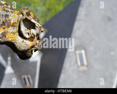 Un gargoyle testa sul lato di un edificio francese serve come un beccuccio di gronda dirigere l'acqua dal tetto. Foto Stock