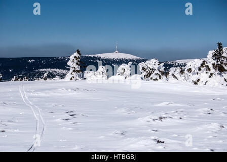 Praded collina con torre di comunicazione da bridlicna hora hill in jeseniky montagne nella Repubblica ceca durante la giornata invernale con la neve e il cielo chiaro Foto Stock