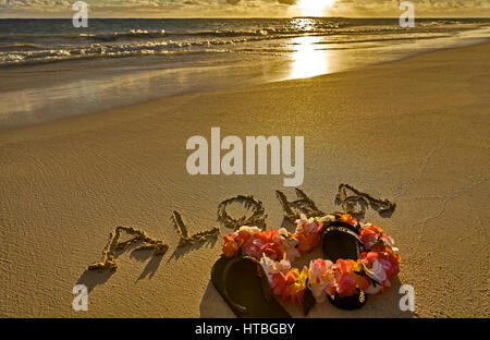 Isola tropicale aloha spiaggia in sabbia con pantofole Foto Stock