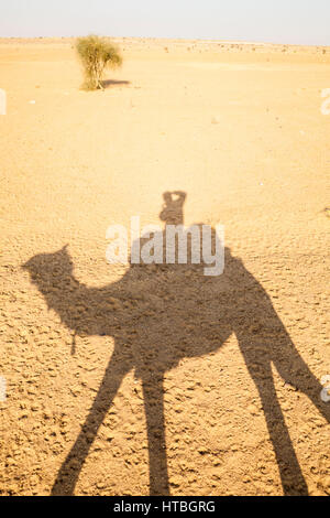 L ombra di un uomo a dorso di un cammello e scattare una foto della sua ombra sul deserto arido terreno. Deserto di Thar, Rajashan, India. Foto Stock