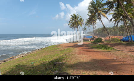 Le palme sulla spiaggia con le onde che si infrangono in Foto Stock