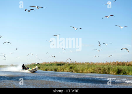 Myanmar (ex Birmanie). Lac Inle. Etat Shan. Bateau sur le lac // Myanmar (ex Birmanie). Lago Inle. Lo stato di Shan. Barca sul Lago Foto Stock