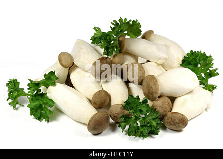 Re funghi Oyster con prezzemolo isolati su sfondo bianco Foto Stock