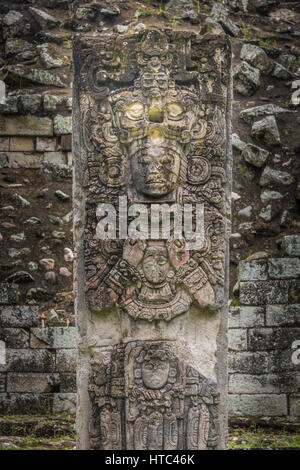 Scolpiti Stella in rovine Maya - Copan sito archeologico, Honduras Foto Stock