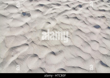 Sabbiosa spiaggia di morbide dune closeup nella luce del sole. Foto Stock