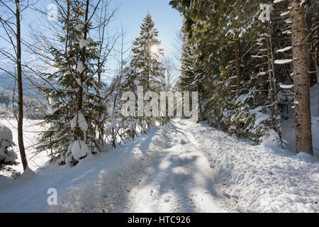 Scena in inverno con la neve e il ghiaccio sulla strada di piccole dimensioni Foto Stock