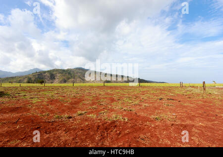 Ranch di bestiame vista sull'isola di Oahu Hawaii Foto Stock