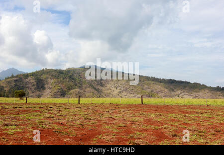 Ranch di bestiame vista sull'isola di Oahu Hawaii Foto Stock