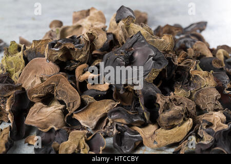 Judasohr, Judasohren getrocknet, getrocknete Pilze, Trockenpilz, Trockenpilze, Dörrpilze, Dörrpilz, Ohrlappenpilz, Holunderschwamm, Judas-Ohr, Ohrlapp Foto Stock