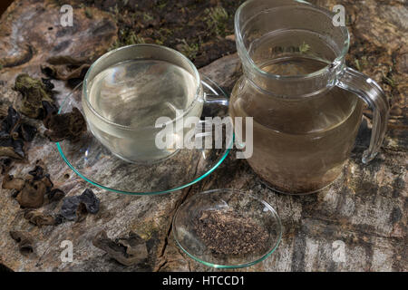 Raccordo a T, Kräutertee, Heiltee aus Pilzpulver vom Judasohr, Judasohren getrocknet, getrocknete Pilze, Trockenpilz, Trockenpilze, Dörrpilze, Dörrpilz, Ohrlap Foto Stock