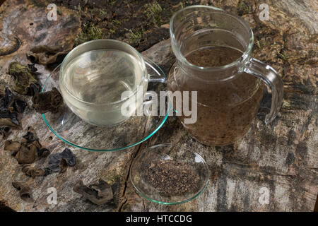 Raccordo a T, Kräutertee, Heiltee aus Pilzpulver vom Judasohr, Judasohren getrocknet, getrocknete Pilze, Trockenpilz, Trockenpilze, Dörrpilze, Dörrpilz, Ohrlap Foto Stock