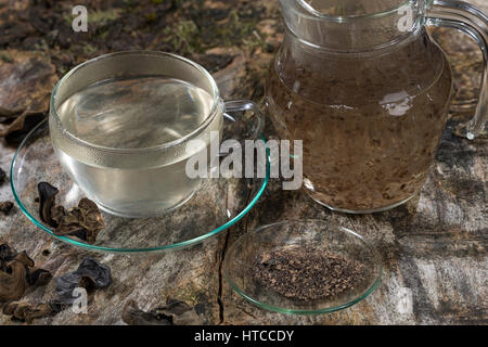 Raccordo a T, Kräutertee, Heiltee aus Pilzpulver vom Judasohr, Judasohren getrocknet, getrocknete Pilze, Trockenpilz, Trockenpilze, Dörrpilze, Dörrpilz, Ohrlap Foto Stock