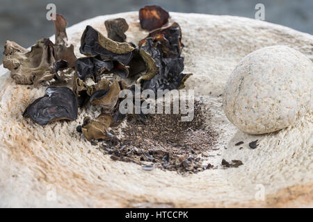 Judasohr, Judasohren getrocknet, getrocknete Pilze werden zermahlen, Pilzpulver, Trockenpilz, Trockenpilze, Dörrpilze, Dörrpilz, Ohrlappenpilz, Holund Foto Stock