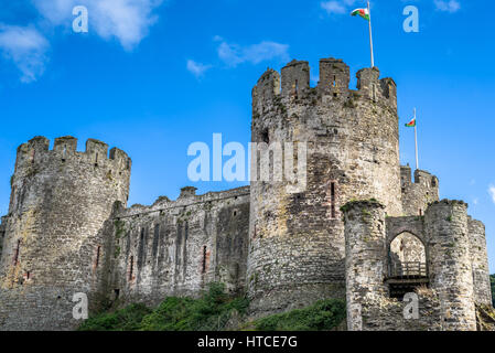 Conwy Castle in Galles, NEL REGNO UNITO. Foto Stock