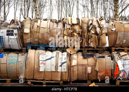 Basingstoke, Regno Unito - 6 Marzo 2017: enormi cumuli di cartone su pallet in attesa di essere riciclati, con alberi in background Foto Stock
