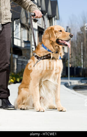 Cieco e un cane guida Foto Stock