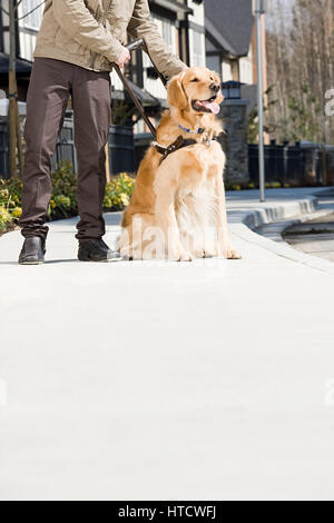 Cieco con il cane guida su marciapiede Foto Stock