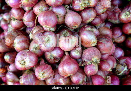 Gruppo di scalogno o rosso cipolla piccola nel mercato nella luce solare esterna Foto Stock