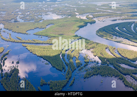 Vista aerea foresta allagata pianure in estate. Foto Stock