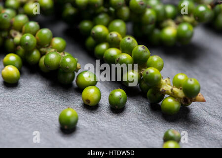 Fresco pepe verde su sfondo scuro. Foto Stock