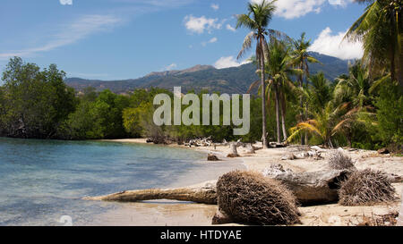 Radici di caduti palme al mattino alla linea costiera su una spiaggia di sabbia bianca con una sana le palme e le montagne sullo sfondo, Danau Foto Stock