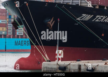 Porto di Haifa, Israele. Il 'Zim Texas' nave container Foto Stock