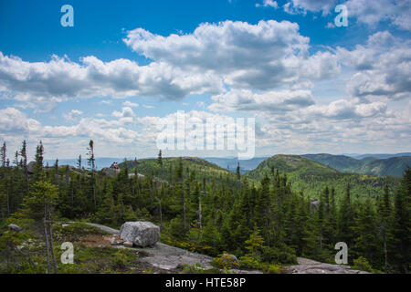 Grands-Jardins Parco Nazionale in Québec Canada Foto Stock