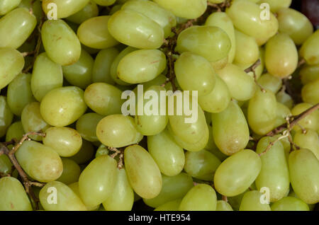 Close up di uve bianche. Foto Stock