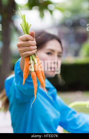 Agricoltore mano che tiene un mazzetto di freschi Carote organico nell'autunno del giardino all'aperto. Bella bruna ragazza vestita in blu Foto Stock