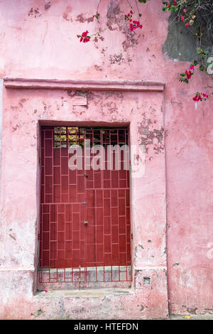 Un colorato porta rosa con fiori nel Getsemani quartiere di Cartagena, Colombia. Foto Stock