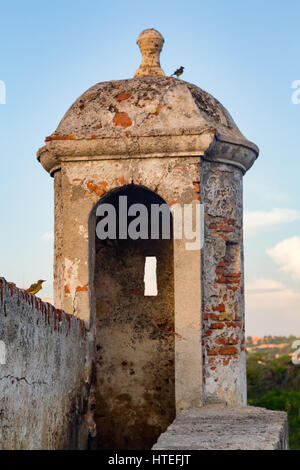 Gli uccelli appollaiarsi su una torretta costruita in epoca coloniale parete che protetti Cartagena, Colombia durante l'epoca coloniale. Foto Stock