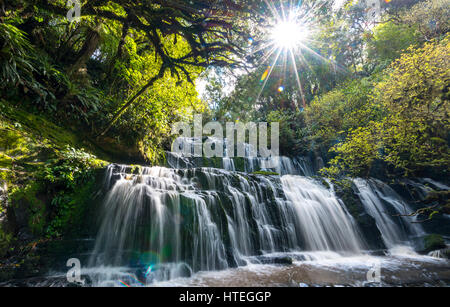 Purakaunui Falls, cascata, Sun Star, il Catlins,, Otago Southland, Nuova Zelanda Foto Stock