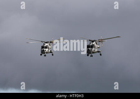 Coppia di Royal Navy Lynx HMA.8's avvicinando RNAS Yeovilton, Somerset, Regno Unito Foto Stock