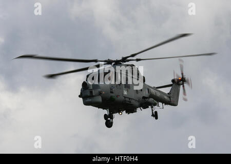 Royal Navy Lynx HMA.8 passando sopra la sua base a RNAS Yeovilton, Somerset, Regno Unito Foto Stock