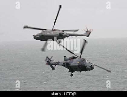 La Royal Navy Blackcats Westland Lynx HMA.8 (L) e Wildcat HMA.2 (R) esecuzione a Bournemouth Air Festival Foto Stock