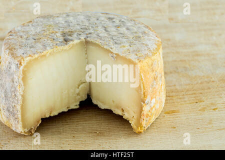 La forma di formaggio a pasta dura di una crosta bloomy latte di capra, il gelo crosta, di trattamento attraverso un apposito stampo del genere Penicillium, come Penicillium camemb Foto Stock