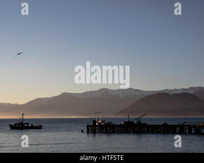 La Wharf a Jackson Bay, Sud Westland, Isola del Sud, Nuova Zelanda Foto Stock