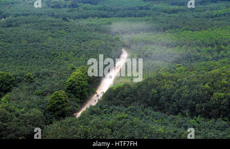 Un paesaggio fantastico di strada attraverso la giungla di Lam Dong, Vietnam, panoramica Scena verde con la messa in movimento del veicolo sul percorso di polvere a croce mountain pass della foresta Foto Stock