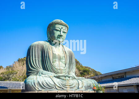 Il Buddha gigante o Daibutsu famoso luogo a Kamakura, Giappone Foto Stock