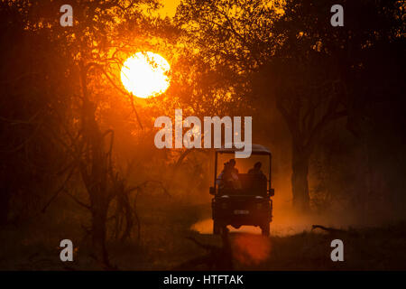 Jeep in controluce al tramonto, South Luangwa National Park in Zambia, Africa Foto Stock