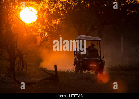 Jeep in controluce al tramonto, South Luangwa National Park in Zambia, Africa Foto Stock