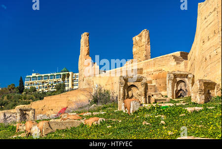 Mura fortificate e torri intorno alla Medina di Fes - Marocco Foto Stock