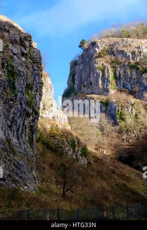 Le scogliere di Cheddar Gorge Somerset England Regno Unito Foto Stock