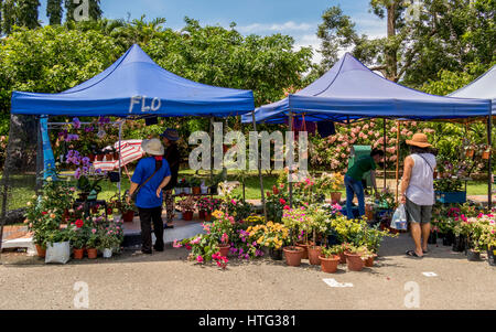 Sabah parco agricolo Tenom Borneo malese dedicata alla conservazione di piante e di flora learning è di interesse per un soggiorno sia turistico sia i ricercatori Foto Stock