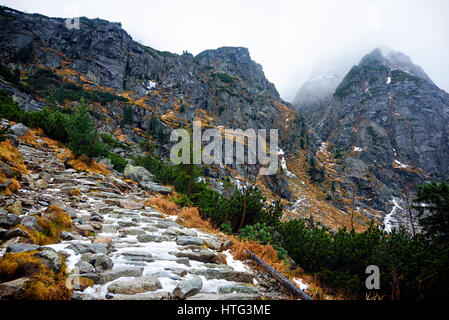 Estate di alberi con coperta di neve passi da Morskie Oko che conduce al Monte Rysy Foto Stock